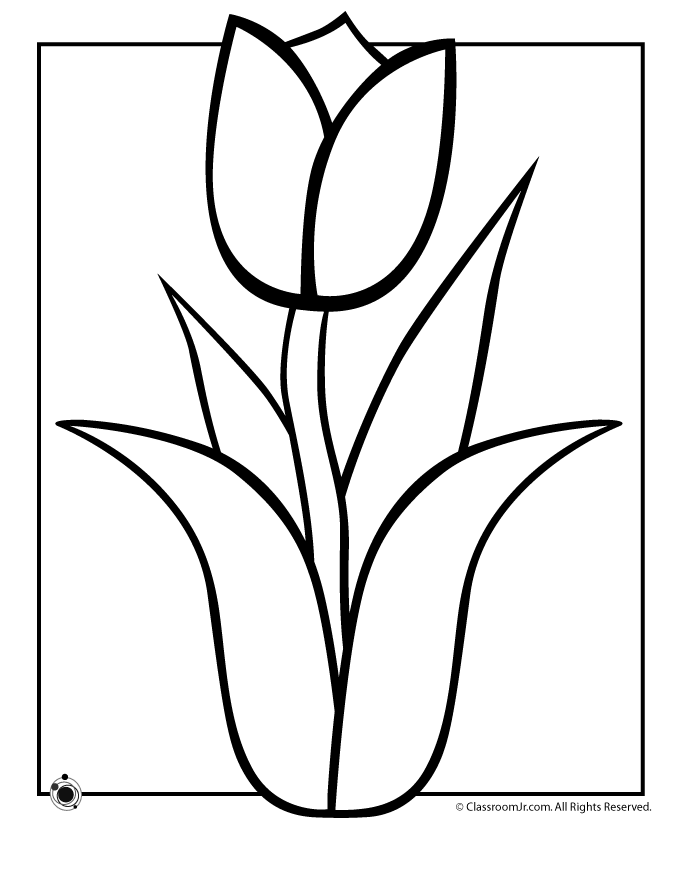 Malvorlage: Tulpe (Natur) #161699 - Kostenlose Malvorlagen zum Ausdrucken