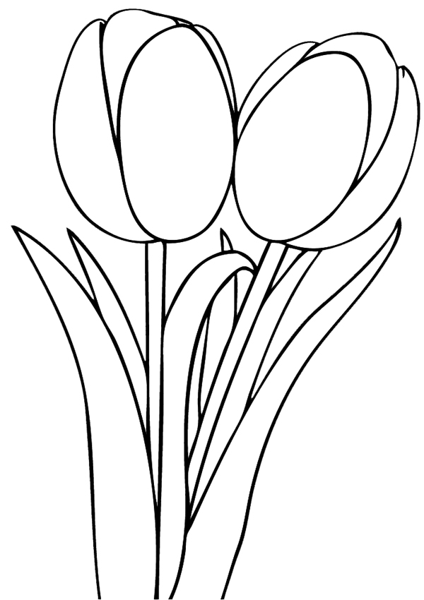 Malvorlage: Tulpe (Natur) #161700 - Kostenlose Malvorlagen zum Ausdrucken