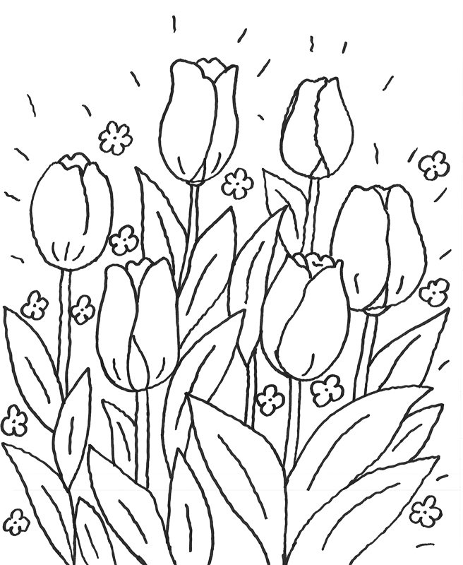 Malvorlage: Tulpe (Natur) #161702 - Kostenlose Malvorlagen zum Ausdrucken