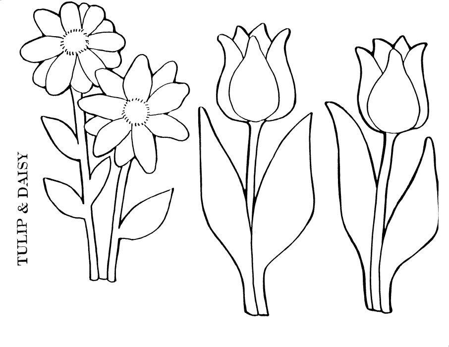 Malvorlage: Tulpe (Natur) #161704 - Kostenlose Malvorlagen zum Ausdrucken