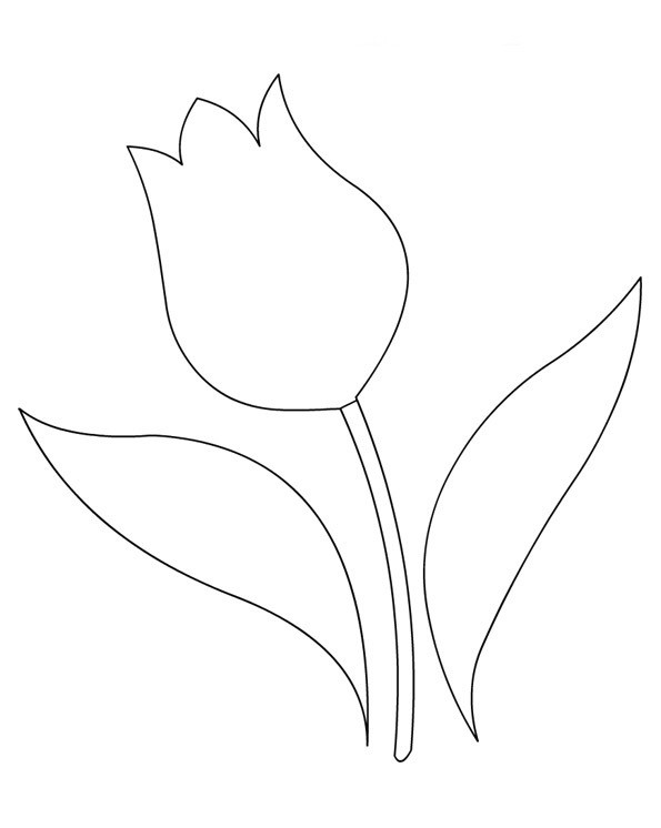 Malvorlage: Tulpe (Natur) #161710 - Kostenlose Malvorlagen zum Ausdrucken