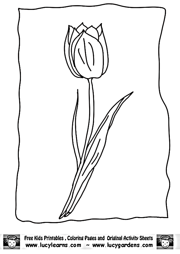 Malvorlage: Tulpe (Natur) #161712 - Kostenlose Malvorlagen zum Ausdrucken