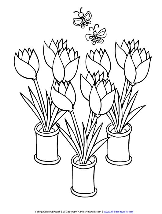 Malvorlage: Tulpe (Natur) #161714 - Kostenlose Malvorlagen zum Ausdrucken