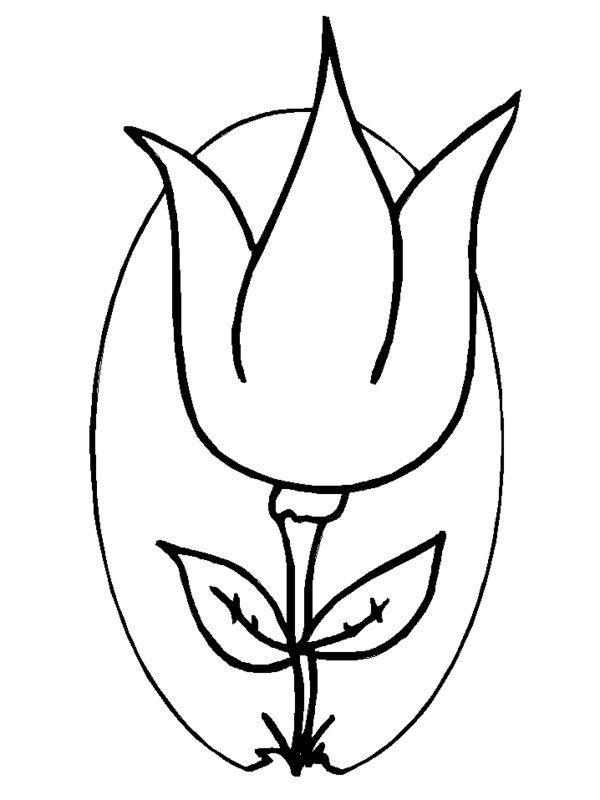 Malvorlage: Tulpe (Natur) #161736 - Kostenlose Malvorlagen zum Ausdrucken