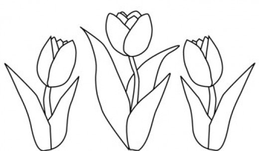 Malvorlage: Tulpe (Natur) #161755 - Kostenlose Malvorlagen zum Ausdrucken