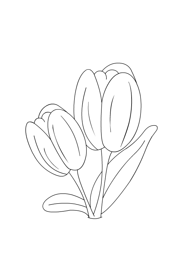 Malvorlage: Tulpe (Natur) #161756 - Kostenlose Malvorlagen zum Ausdrucken
