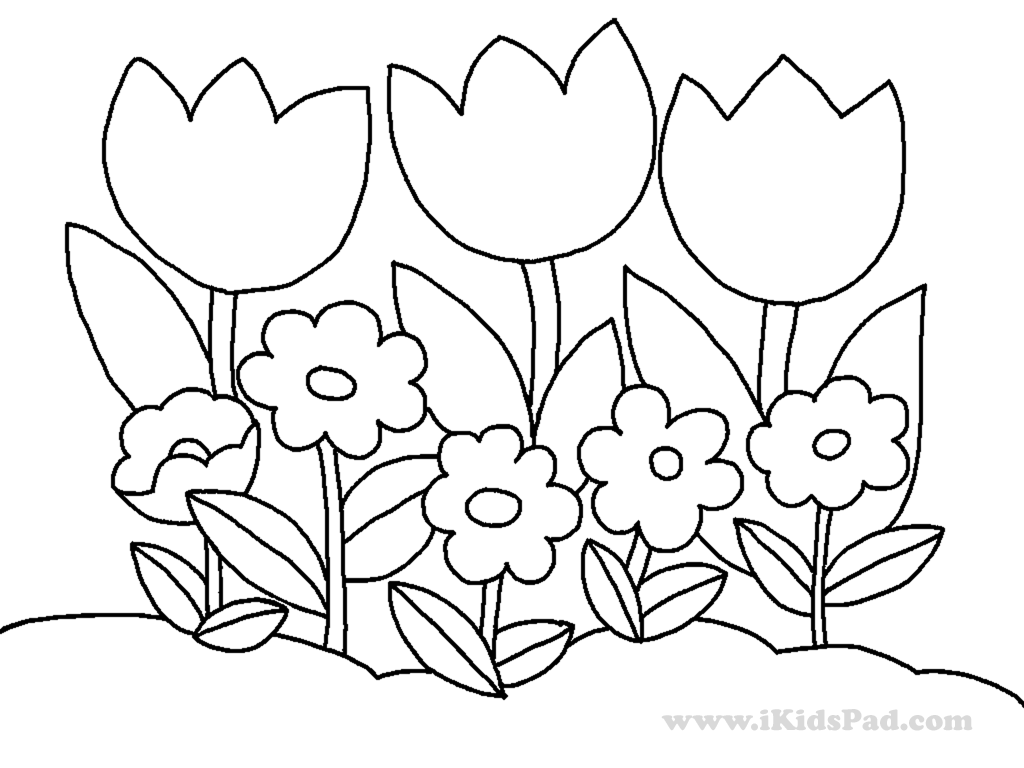 Malvorlage: Tulpe (Natur) #161758 - Kostenlose Malvorlagen zum Ausdrucken