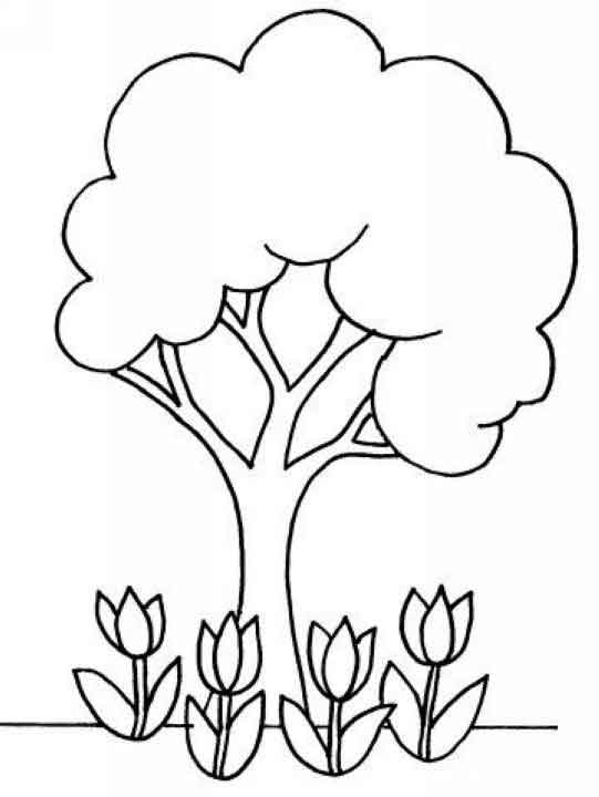 Malvorlage: Tulpe (Natur) #161772 - Kostenlose Malvorlagen zum Ausdrucken