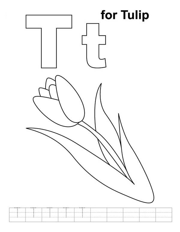 Malvorlage: Tulpe (Natur) #161796 - Kostenlose Malvorlagen zum Ausdrucken