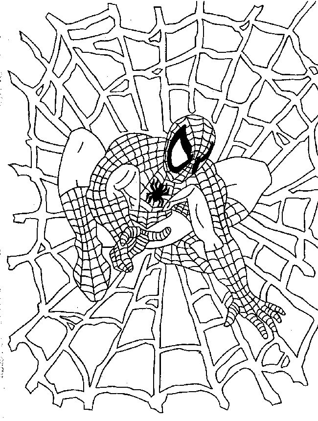 Malvorlage: Spider Man (Superheld) #78641 - Kostenlose Malvorlagen zum Ausdrucken