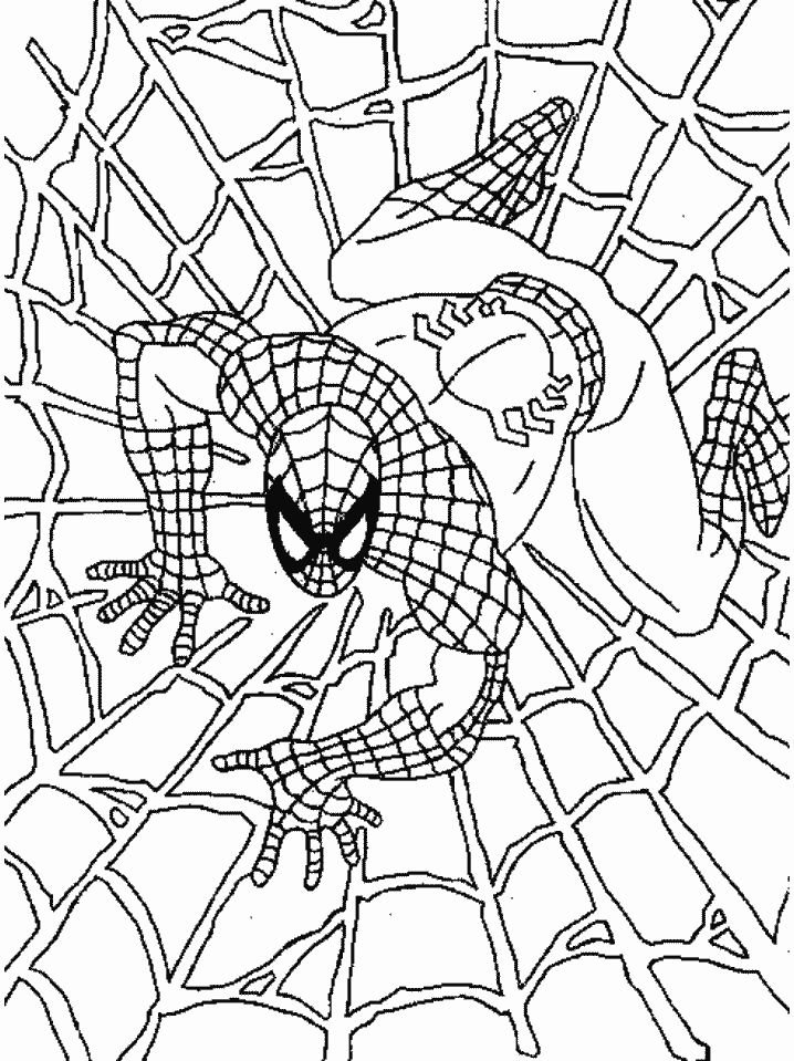 Malvorlage: Spider Man (Superheld) #78644 - Kostenlose Malvorlagen zum Ausdrucken