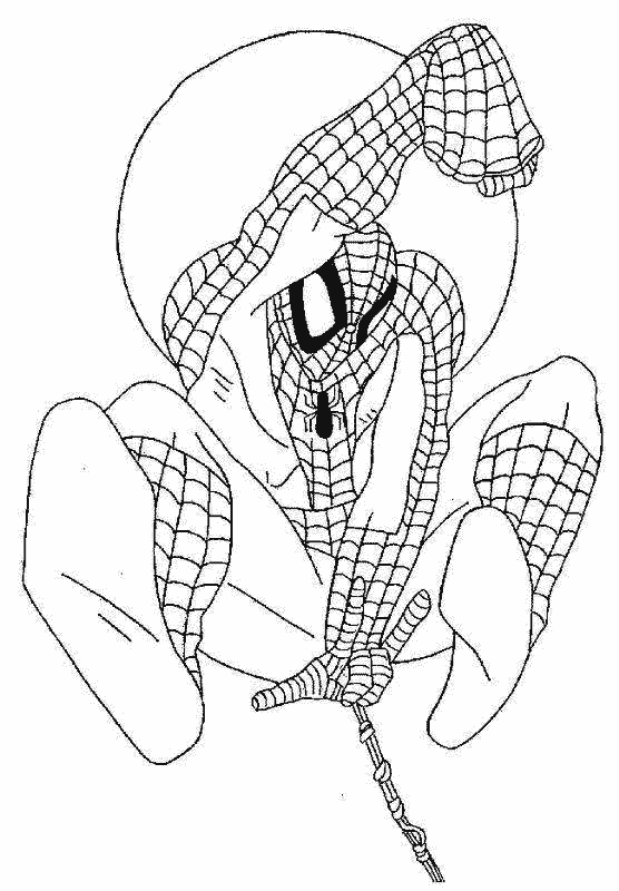 Malvorlage: Spider Man (Superheld) #78678 - Kostenlose Malvorlagen zum Ausdrucken