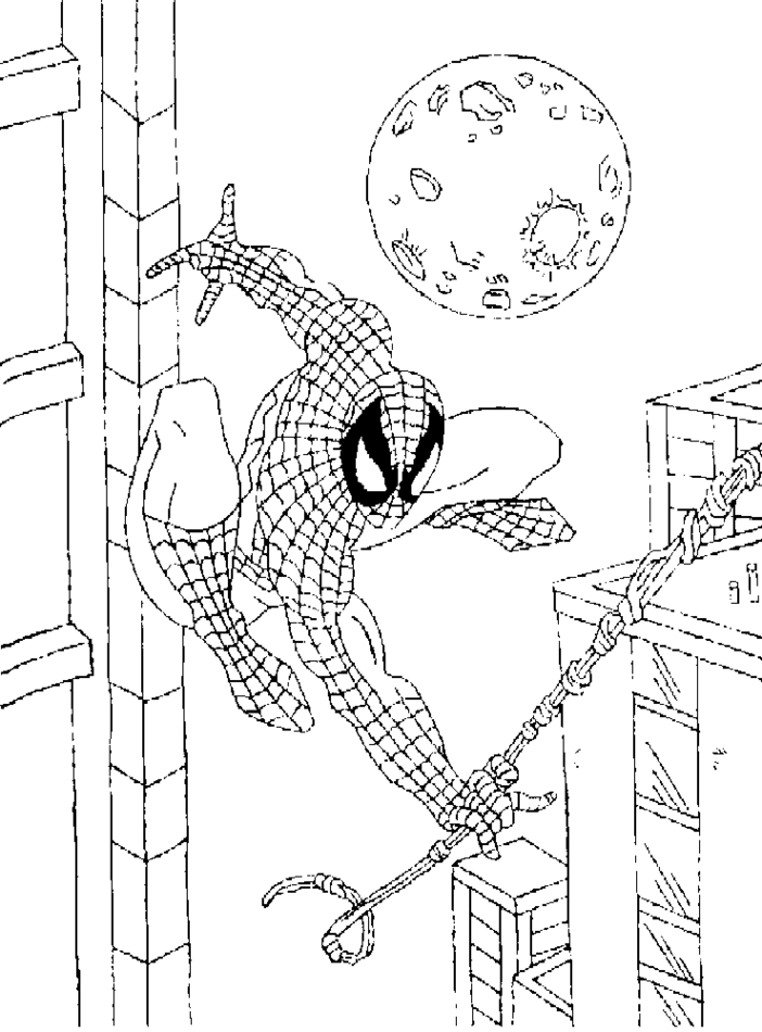 Malvorlage: Spider Man (Superheld) #78711 - Kostenlose Malvorlagen zum Ausdrucken