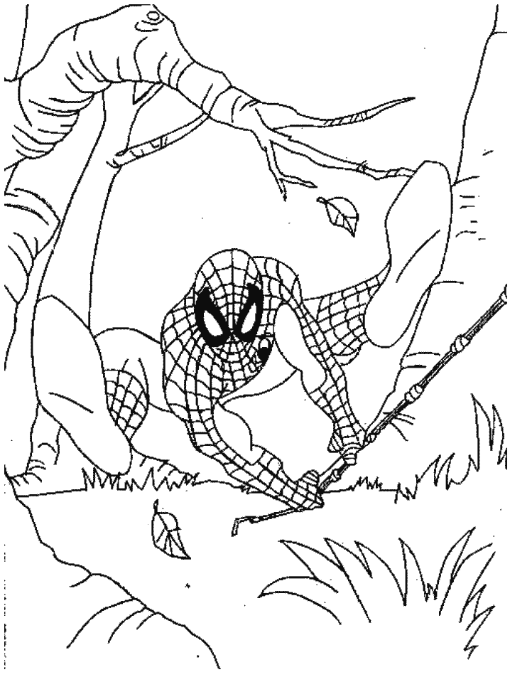 Malvorlage: Spider Man (Superheld) #78750 - Kostenlose Malvorlagen zum Ausdrucken