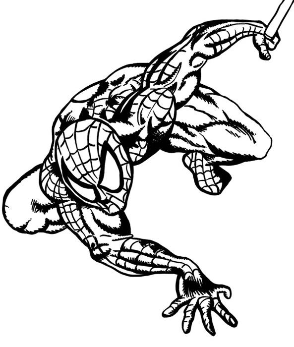 Malvorlage: Spider Man (Superheld) #78752 - Kostenlose Malvorlagen zum Ausdrucken