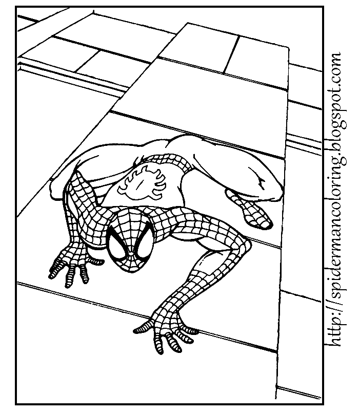 Malvorlage: Spider Man (Superheld) #78766 - Kostenlose Malvorlagen zum Ausdrucken