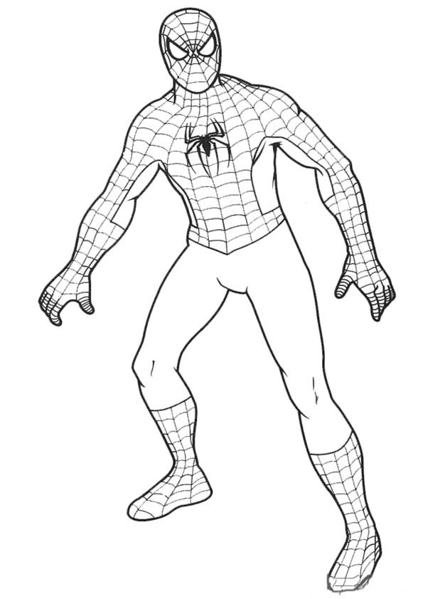 Malvorlage: Spider Man (Superheld) #78772 - Kostenlose Malvorlagen zum Ausdrucken
