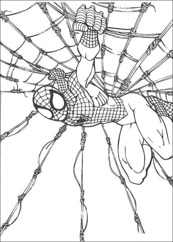Malvorlage: Spider Man (Superheld) #78793 - Kostenlose Malvorlagen zum Ausdrucken