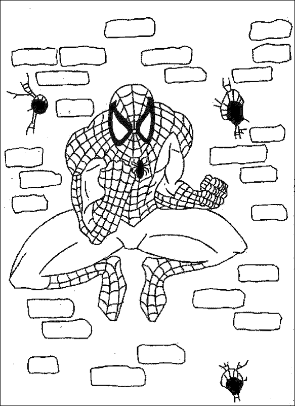 Malvorlage: Spider Man (Superheld) #78809 - Kostenlose Malvorlagen zum Ausdrucken