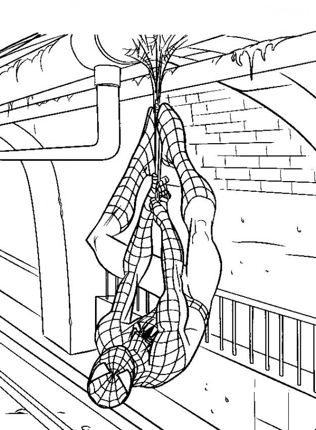 Malvorlage: Spider Man (Superheld) #78898 - Kostenlose Malvorlagen zum Ausdrucken