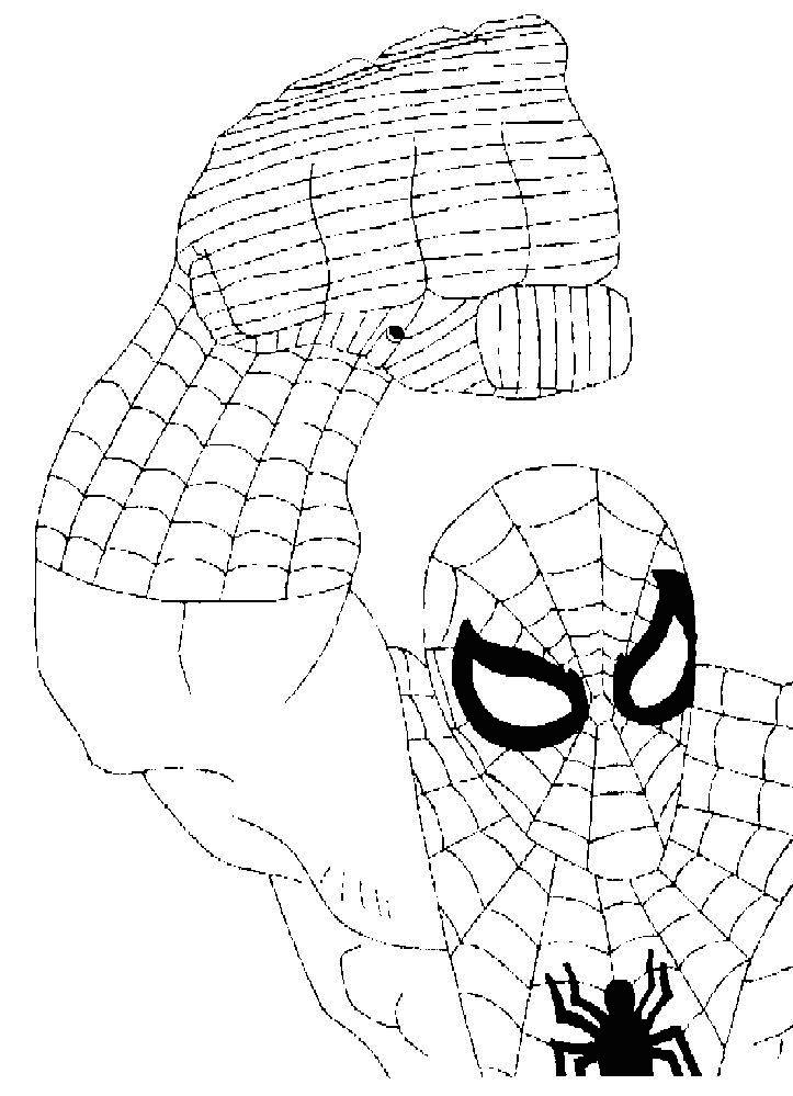 Malvorlage: Spider Man (Superheld) #78956 - Kostenlose Malvorlagen zum Ausdrucken