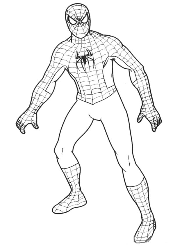 Malvorlage: Spider-Man (Superhelden und Superschurken) #78772 - Kostenlose Malvorlagen zum Ausdrucken