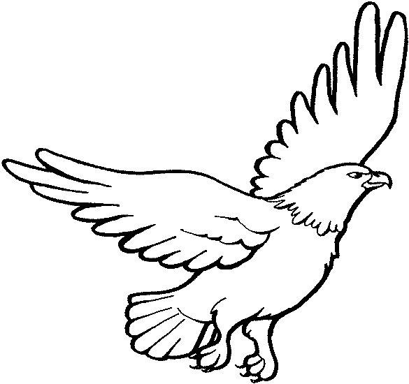 Malvorlage: Adler (Tiere) #284 - Kostenlose Malvorlagen zum Ausdrucken