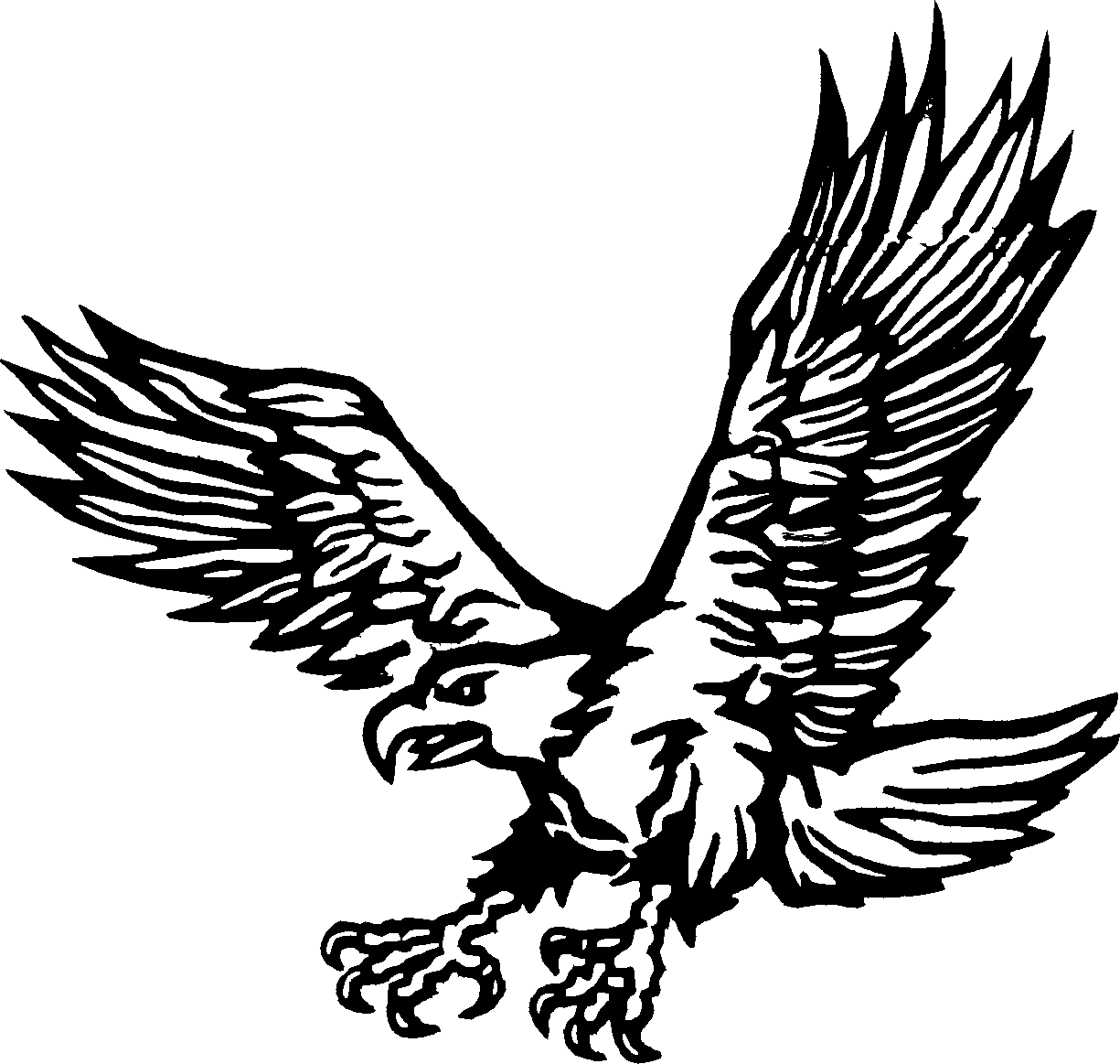 Malvorlage: Adler (Tiere) #288 - Kostenlose Malvorlagen zum Ausdrucken