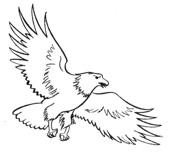 Malvorlage: Adler (Tiere) #318 - Kostenlose Malvorlagen zum Ausdrucken