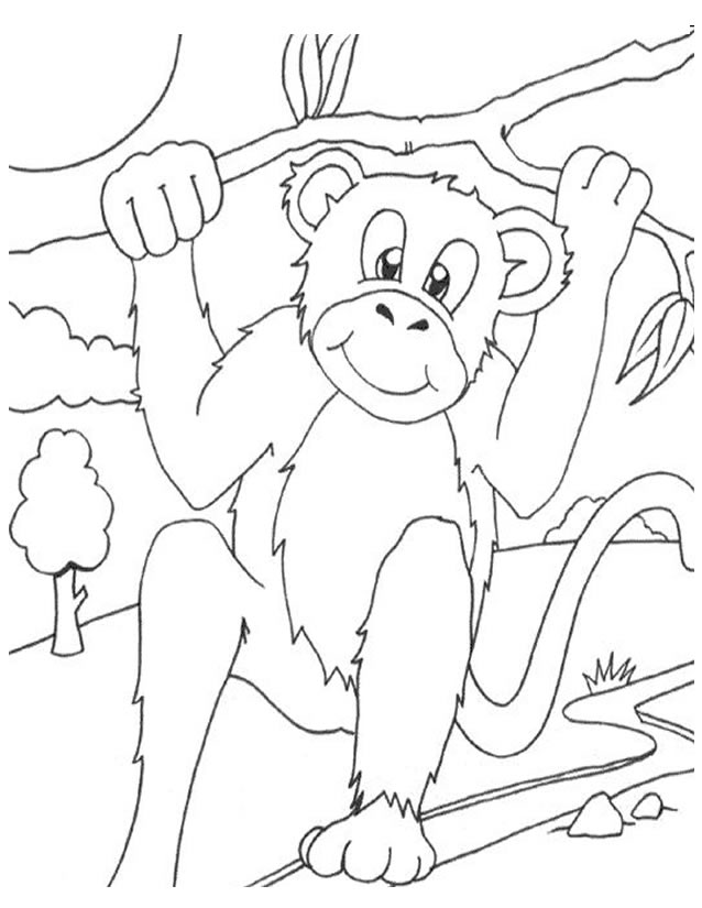 Malvorlage: Affe (Tiere) #14252 - Kostenlose Malvorlagen zum Ausdrucken