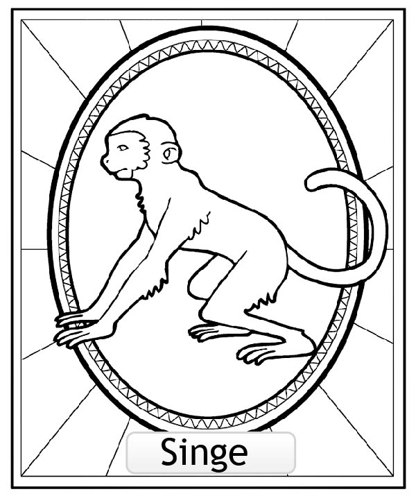 Malvorlage: Affe (Tiere) #14318 - Kostenlose Malvorlagen zum Ausdrucken