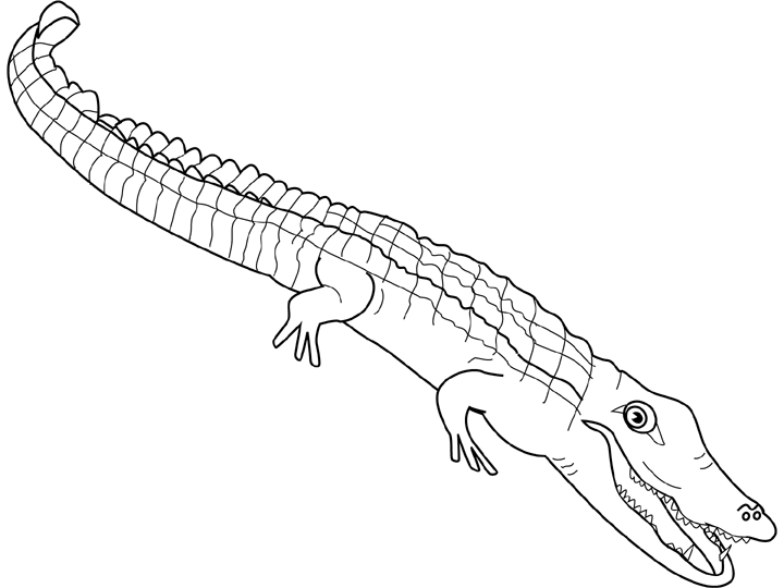 Malvorlage: Alligator (Tiere) #384 - Kostenlose Malvorlagen zum Ausdrucken
