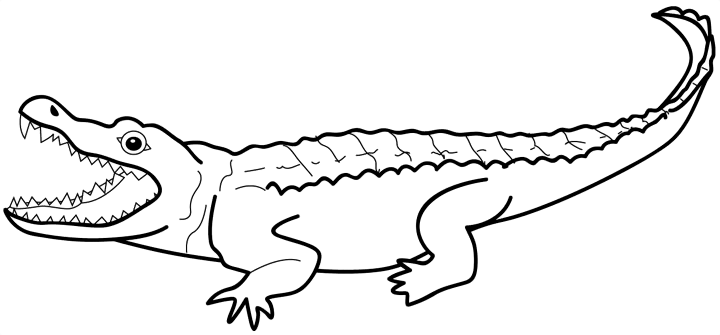 Malvorlage: Alligator (Tiere) #397 - Kostenlose Malvorlagen zum Ausdrucken