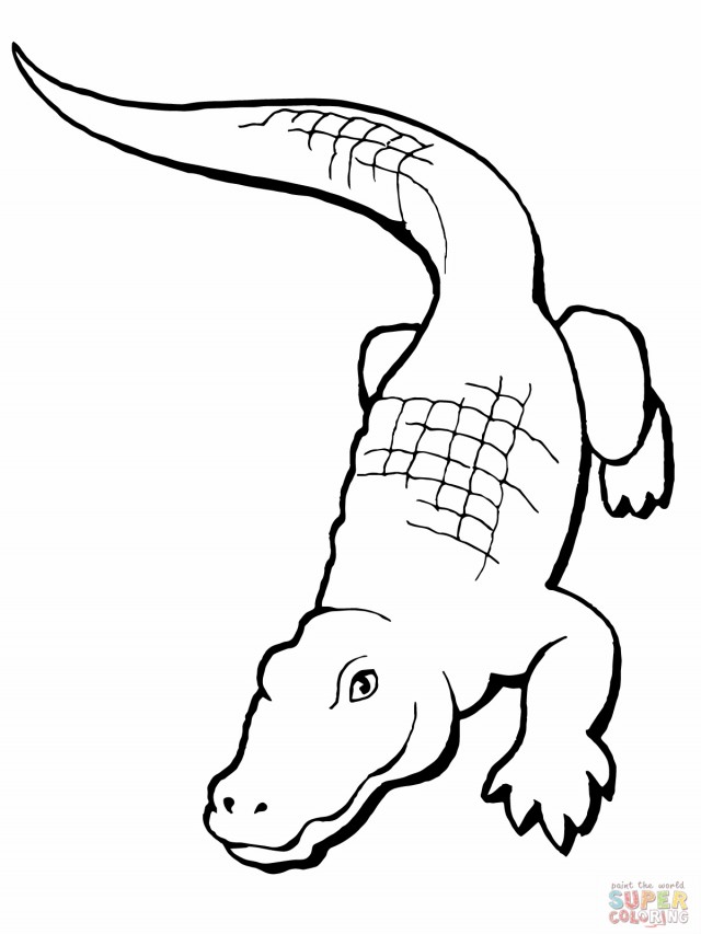 Malvorlage: Alligator (Tiere) #414 - Kostenlose Malvorlagen zum Ausdrucken