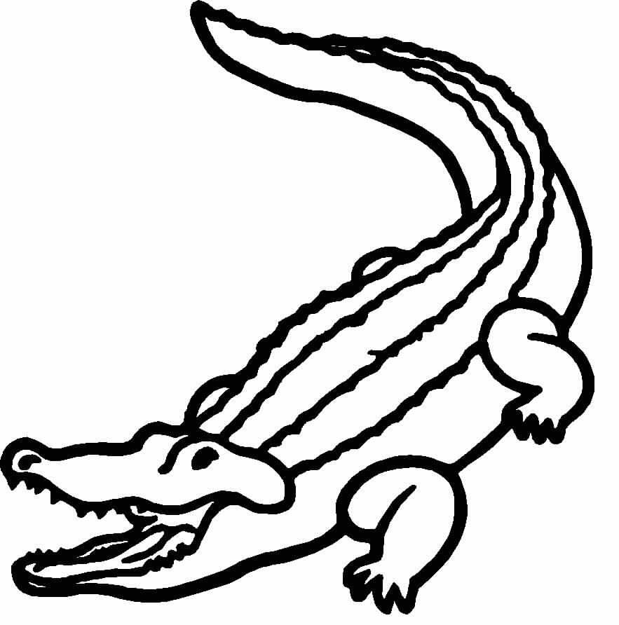 Malvorlage: Alligator (Tiere) #424 - Kostenlose Malvorlagen zum Ausdrucken