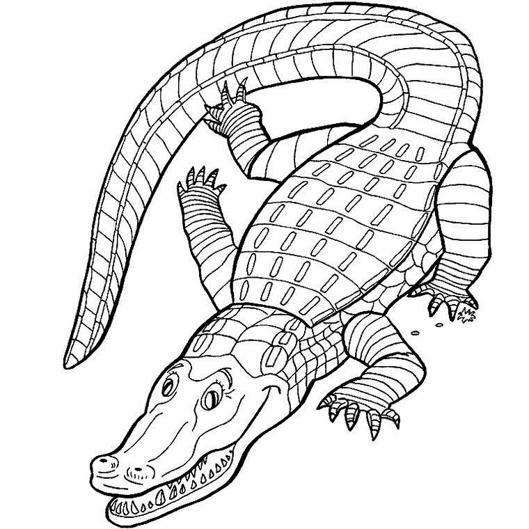Malvorlage: Alligator (Tiere) #434 - Kostenlose Malvorlagen zum Ausdrucken