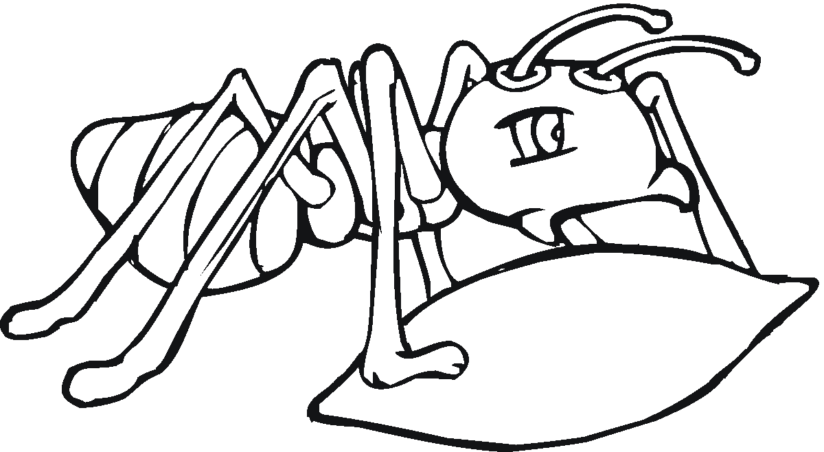 Malvorlage: Ameise (Tiere) #6920 - Kostenlose Malvorlagen zum Ausdrucken