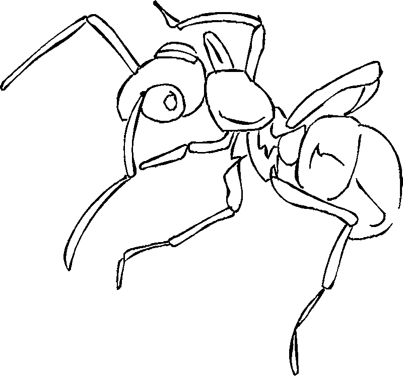 Malvorlage: Ameise (Tiere) #6961 - Kostenlose Malvorlagen zum Ausdrucken