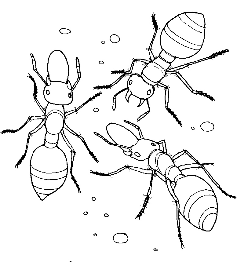 Malvorlage: Ameise (Tiere) #6993 - Kostenlose Malvorlagen zum Ausdrucken