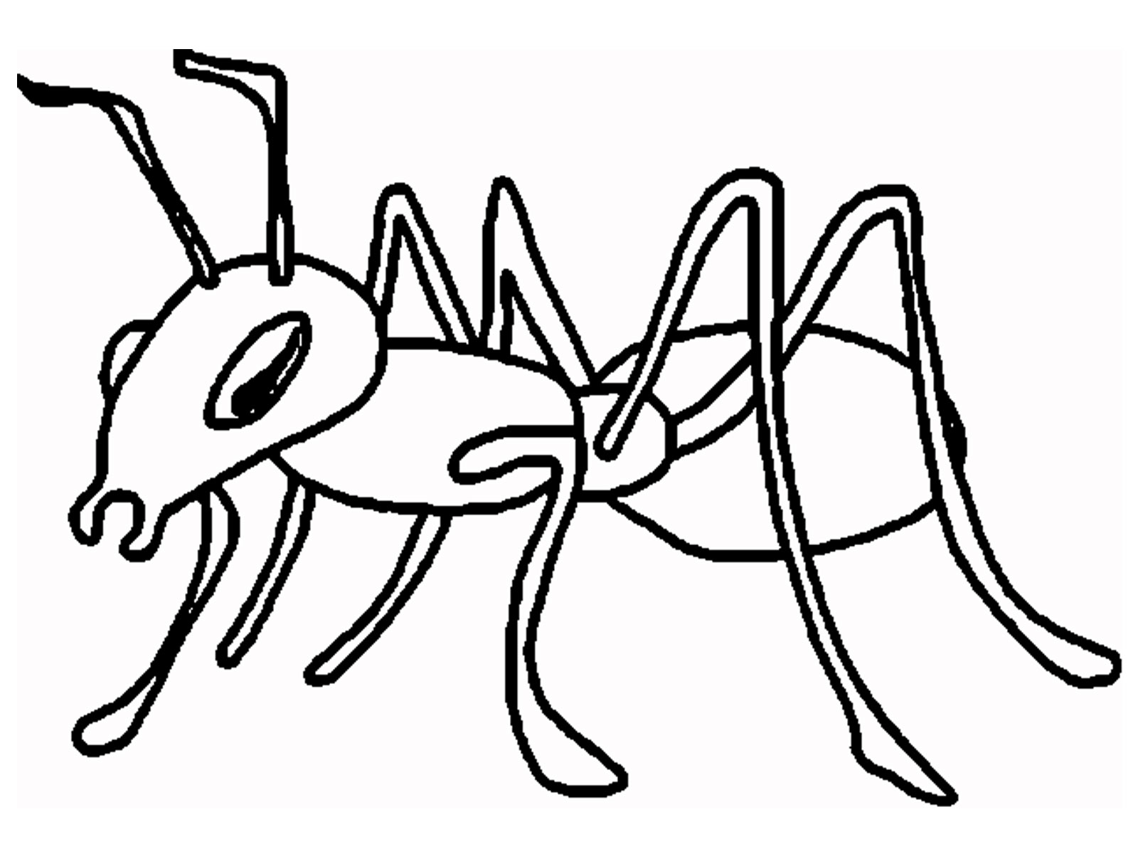 Malvorlage: Ameise (Tiere) #7018 - Kostenlose Malvorlagen zum Ausdrucken