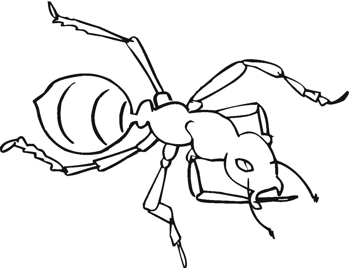 Malvorlage: Ameise (Tiere) #7019 - Kostenlose Malvorlagen zum Ausdrucken
