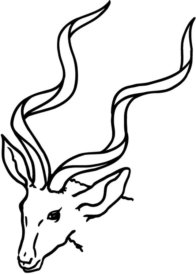 Malvorlage: Antilope (Tiere) #22590 - Kostenlose Malvorlagen zum Ausdrucken