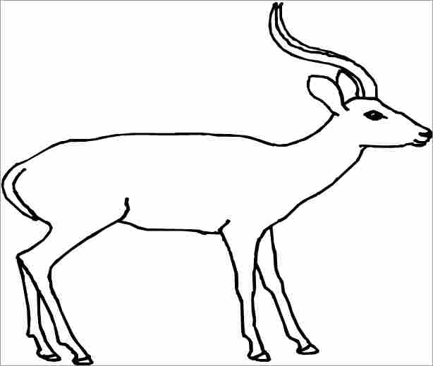 Malvorlage: Antilope (Tiere) #22591 - Kostenlose Malvorlagen zum Ausdrucken