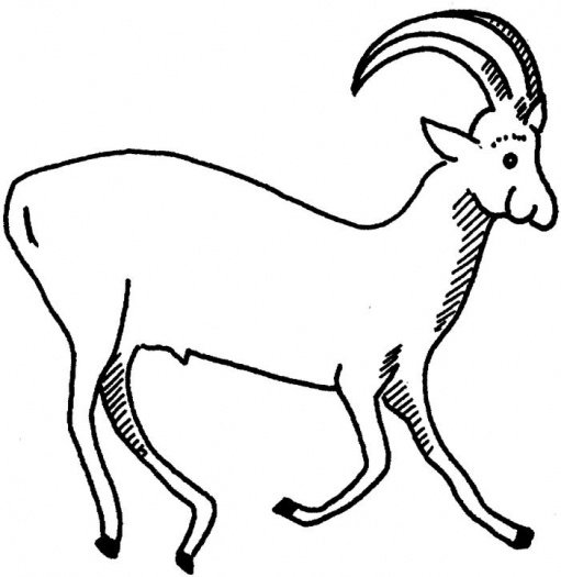 Malvorlage: Antilope (Tiere) #22592 - Kostenlose Malvorlagen zum Ausdrucken