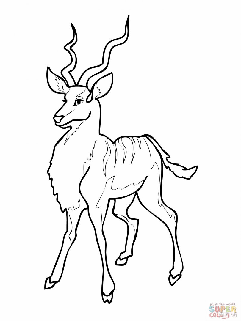 Malvorlage: Antilope (Tiere) #22598 - Kostenlose Malvorlagen zum Ausdrucken