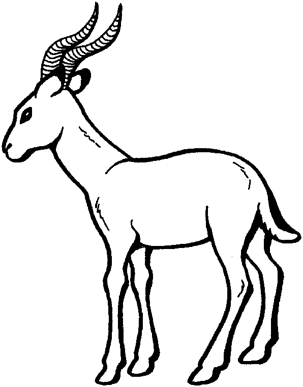 Malvorlage: Antilope (Tiere) #22599 - Kostenlose Malvorlagen zum Ausdrucken