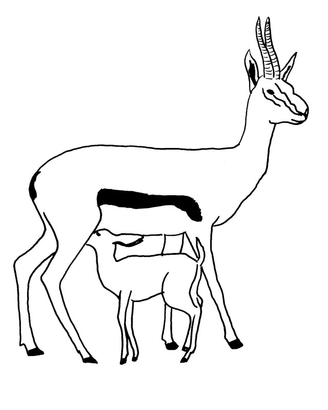 Malvorlage: Antilope (Tiere) #22605 - Kostenlose Malvorlagen zum Ausdrucken
