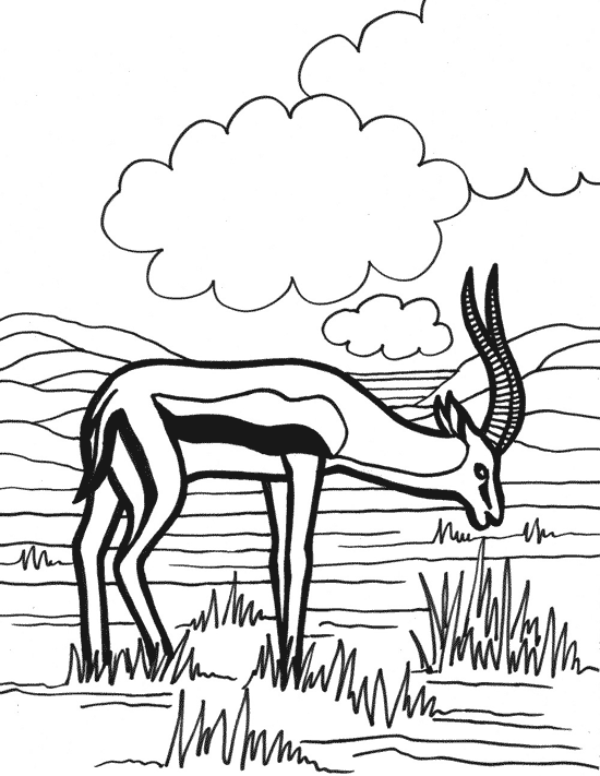 Malvorlage: Antilope (Tiere) #22608 - Kostenlose Malvorlagen zum Ausdrucken
