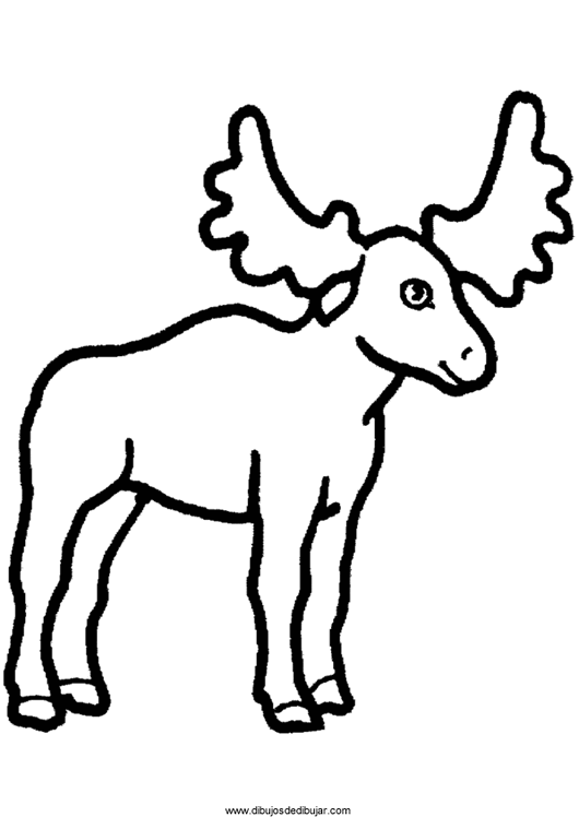 Malvorlage: Antilope (Tiere) #22653 - Kostenlose Malvorlagen zum Ausdrucken