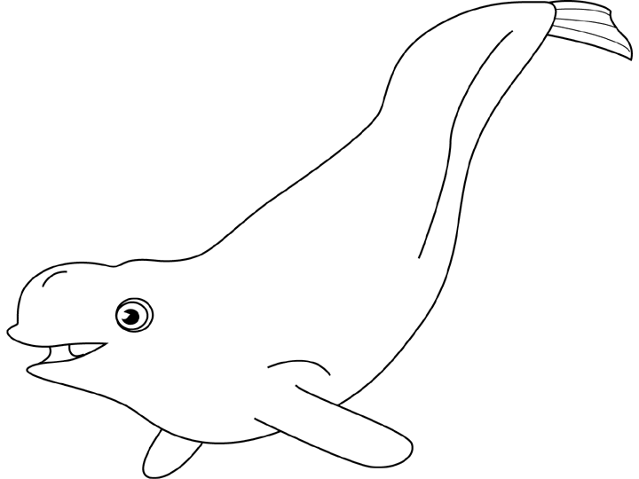 Malvorlage: Beluga (Tiere) #1042 - Kostenlose Malvorlagen zum Ausdrucken